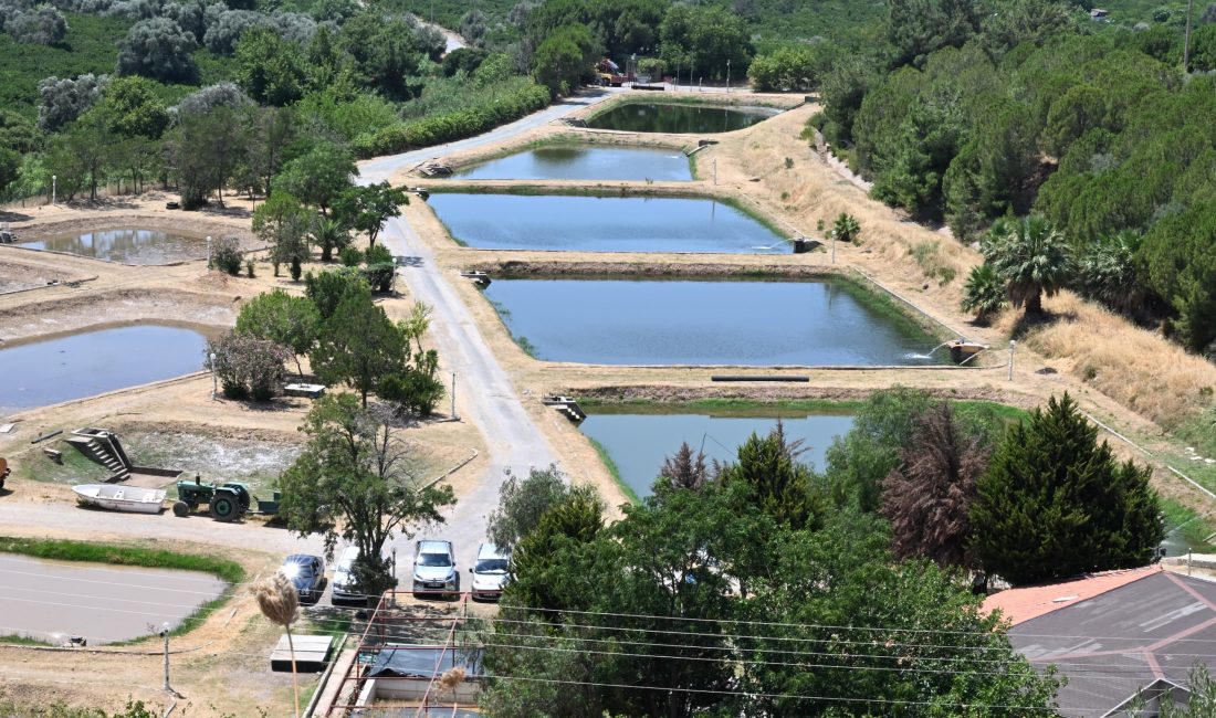 Tarım ve Orman Bakanlığı