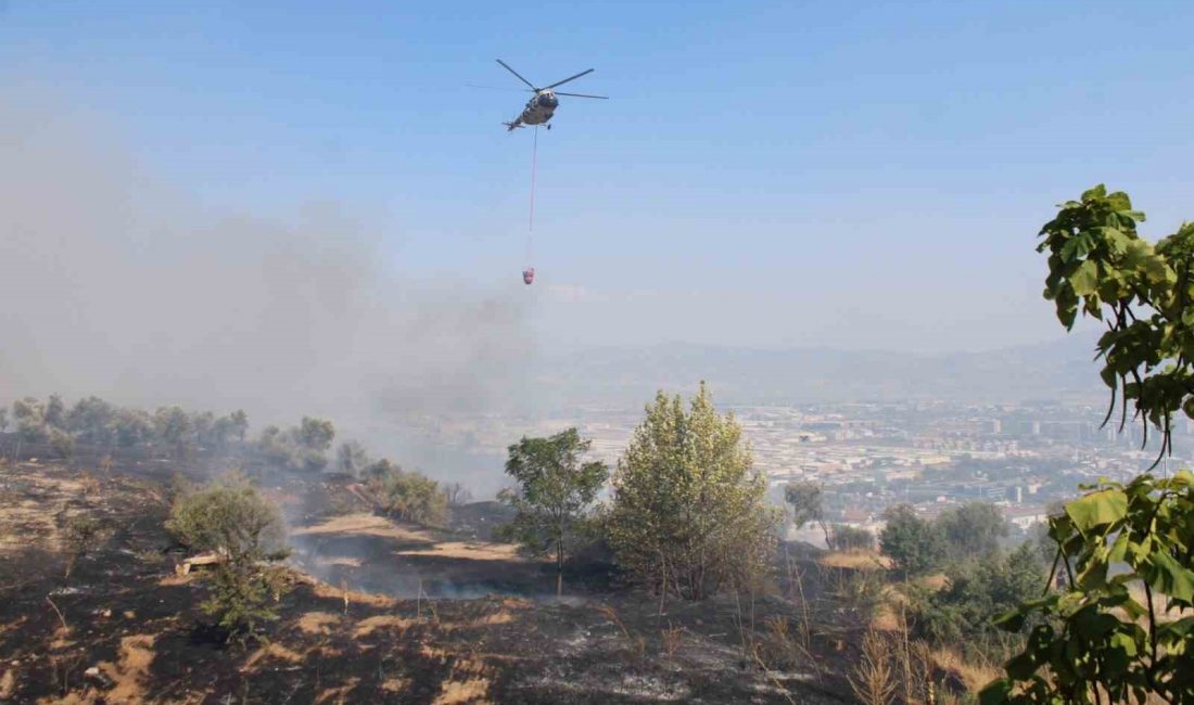 Aydın’da otluk alanda yangın