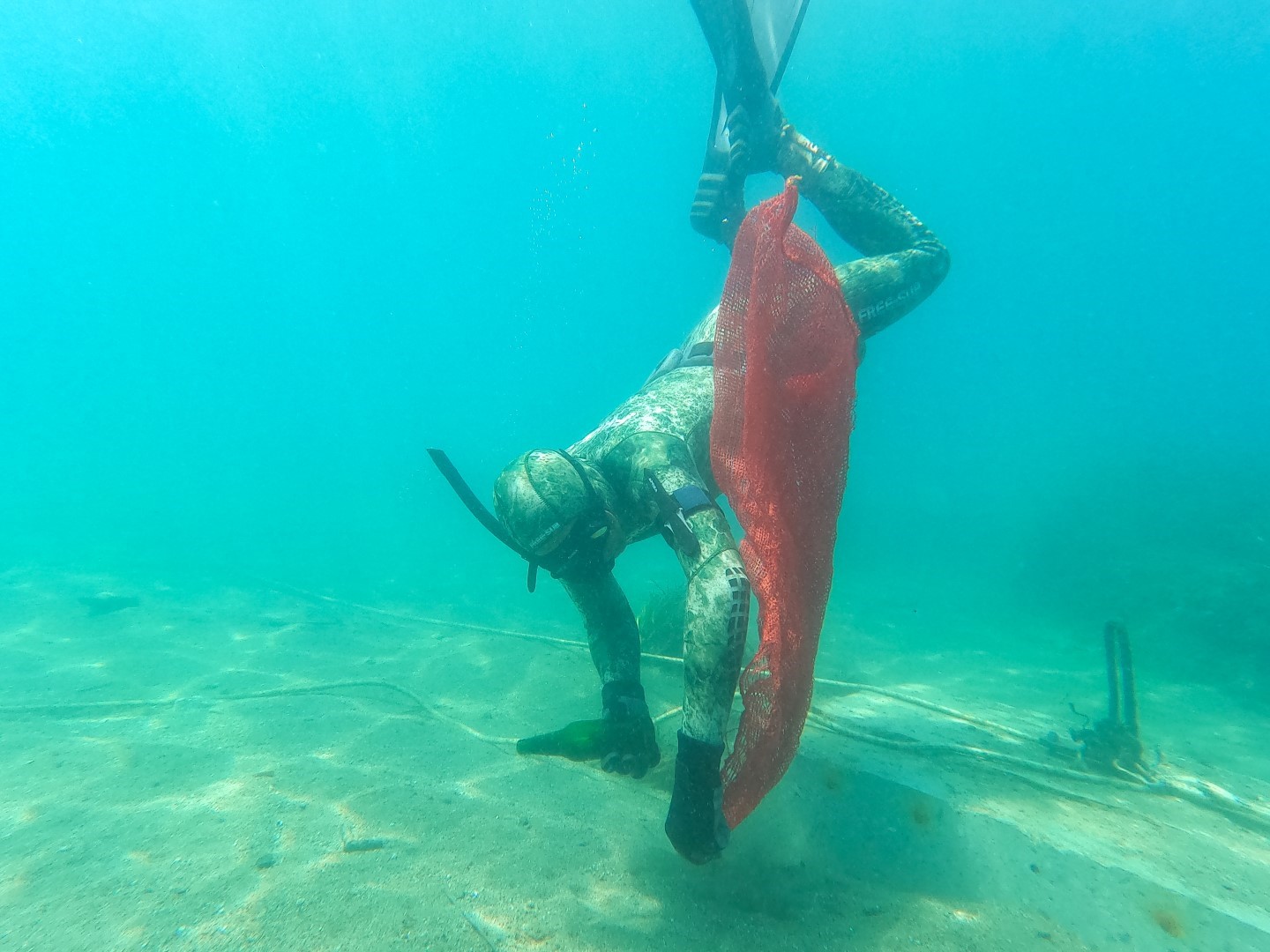 Bodrum’da deniz dibi temizliği