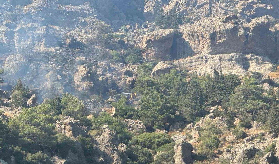 Muğla’nın Bodrum ilçesinde makilik