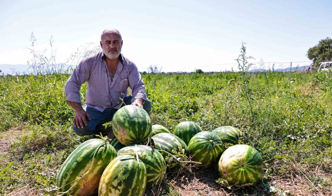 Denizli Büyükşehir Belediyesi, maliyetlerin