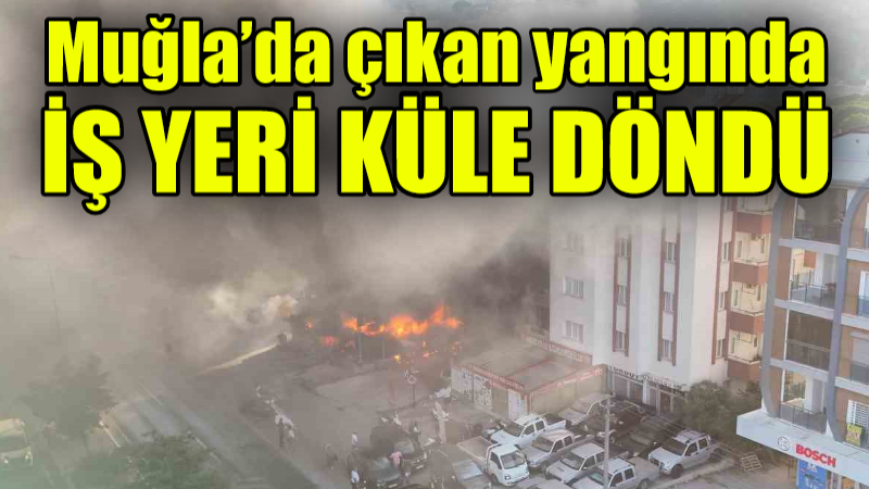 Muğla’da çıkan yangında iş yeri küle döndü