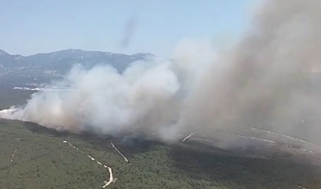 İzmir’in Buca ilçesinde çıkan