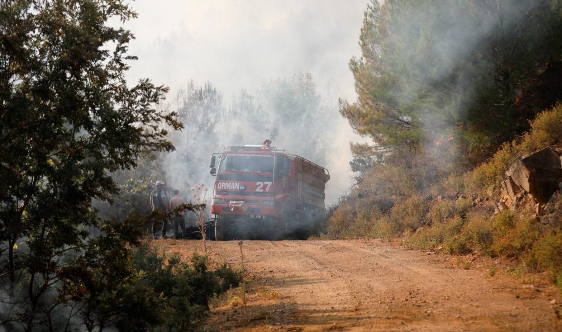 İzmir’in Gaziemir ve Buca