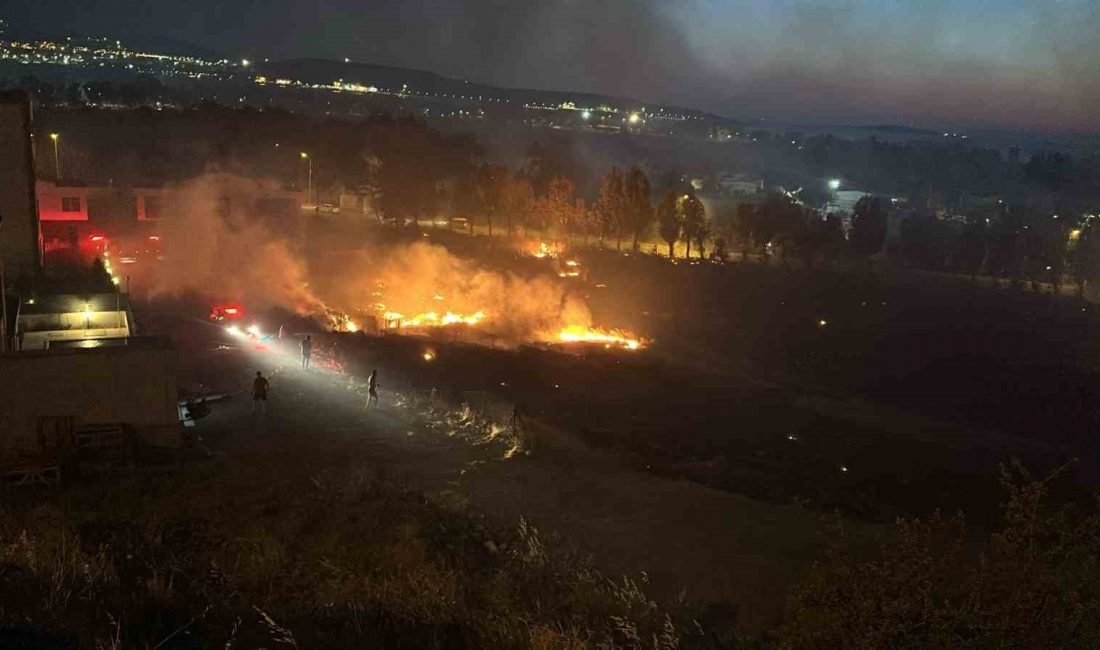 İzmir’in Aliağa ilçesinde otluk