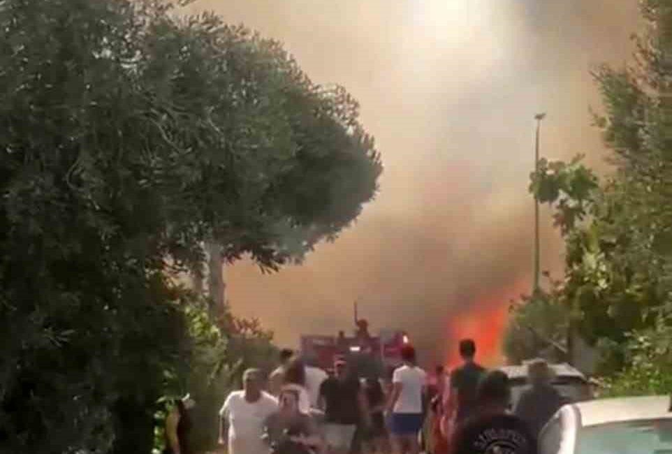 İzmir’in Foça ilçesinde, ormanlık