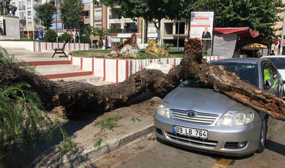 Aydın’ın İncirliova ilçesinde bulunan