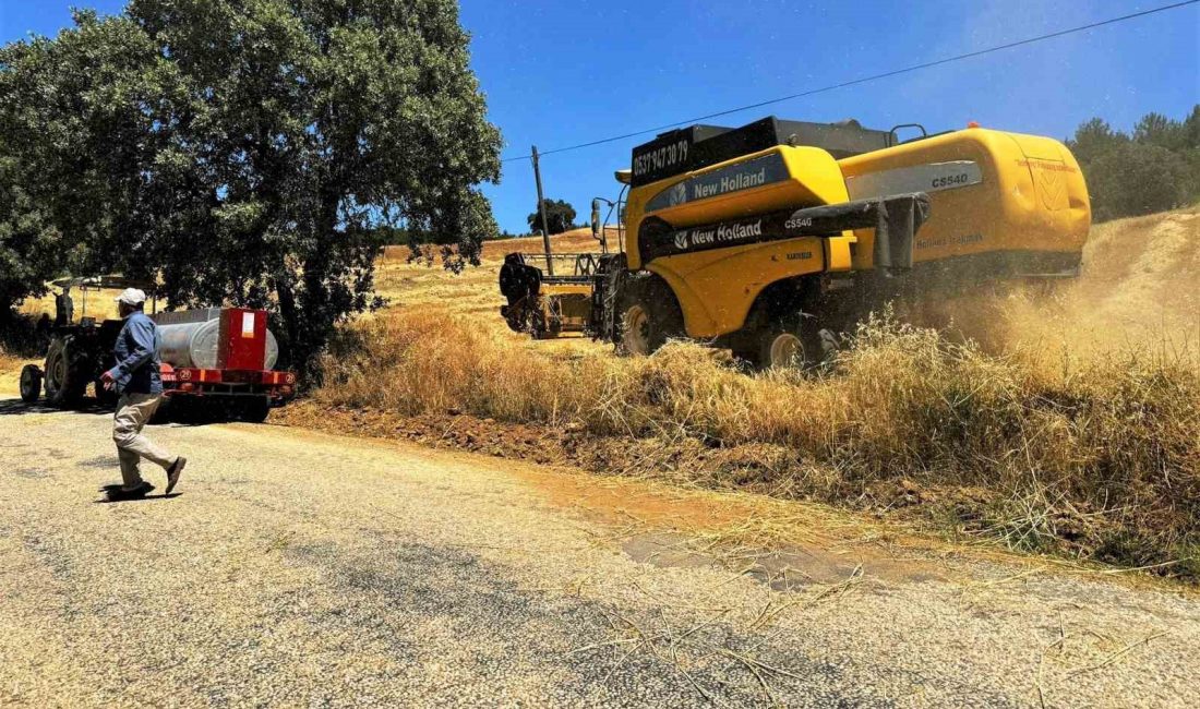 Kütahya’da Orman Yangınları ile