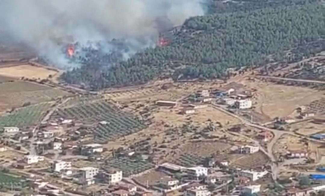 Manisa’nın Gölmarmara ilçesindeki ormanlık