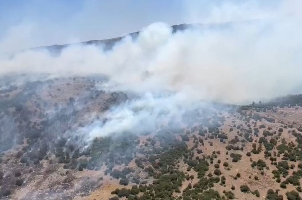 Manisa’nın Kırkağaç ilçesinde çıkan