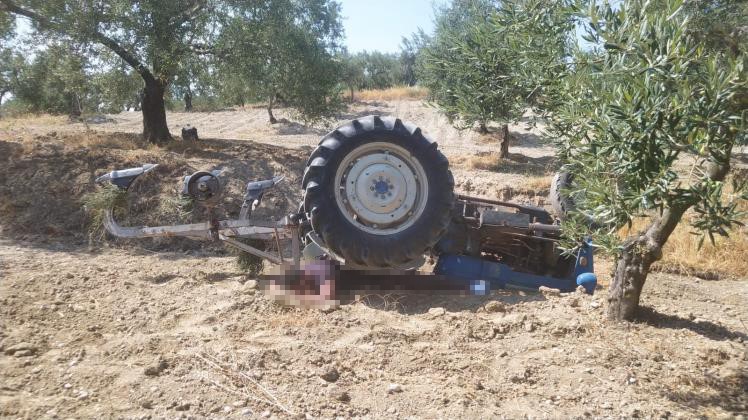 Manisa’nın Akhisar ilçesinde devrilen