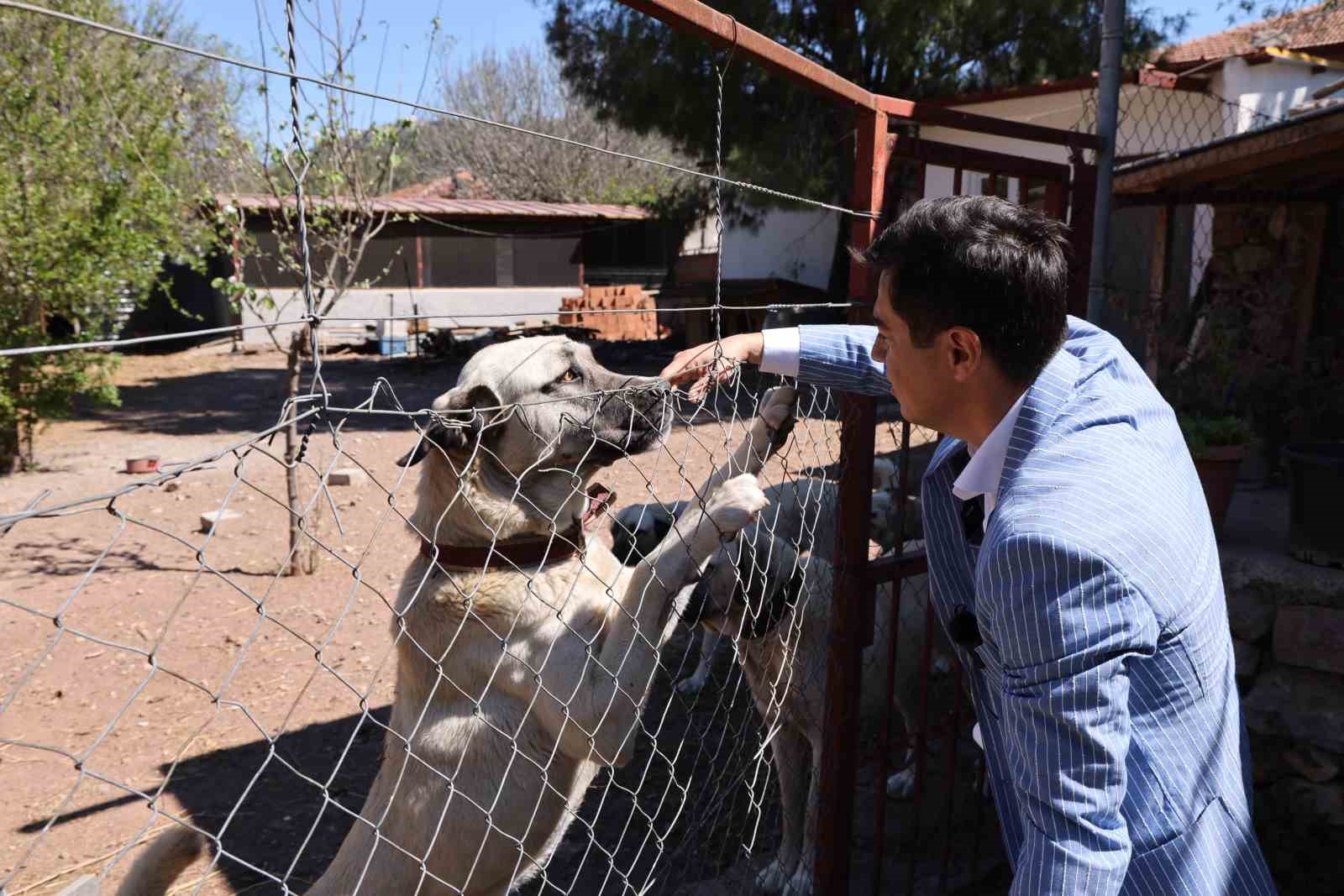 Marmaris Belediye Başkanı Acar Ünlü’den ‘sahiplenme’ çağrısı