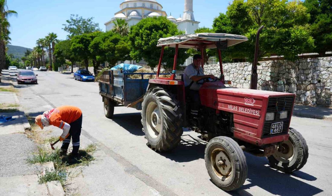 Milas Belediyesi Temizlik İşleri