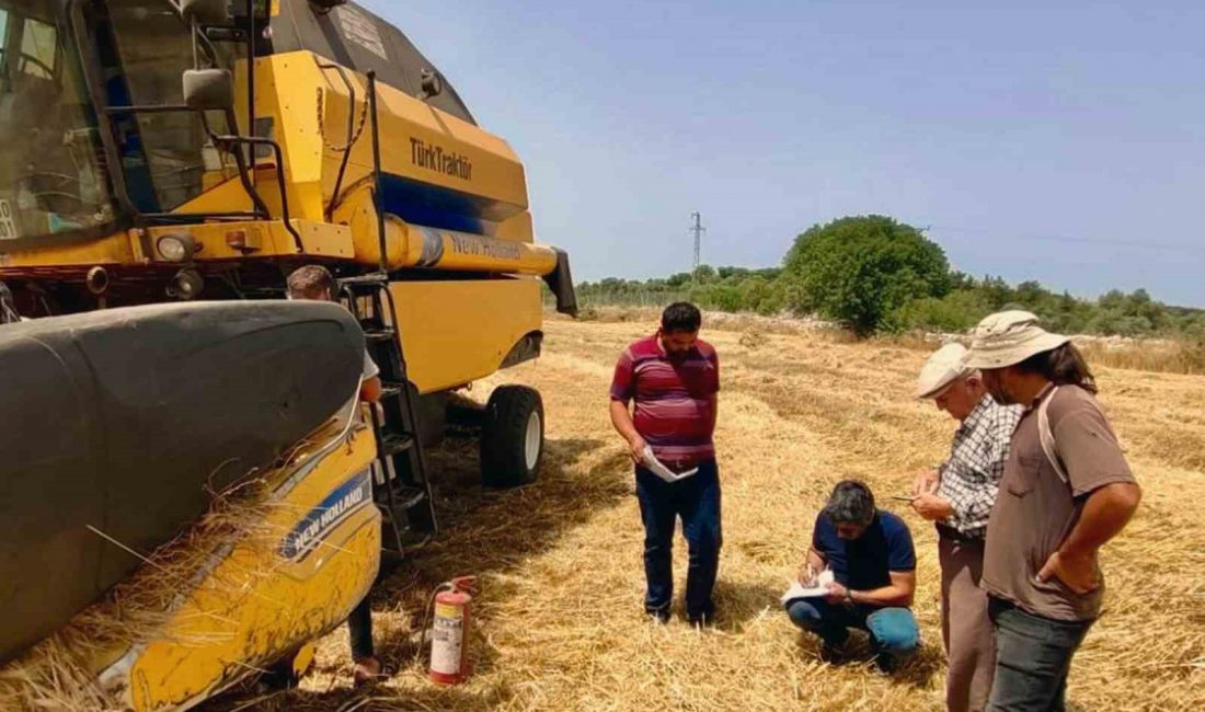 Muğla bölgesindeki orman yangınlarına