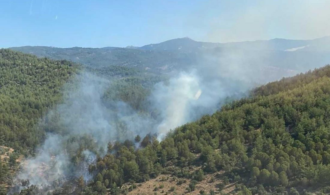 Muğla Valisi İdris Akbıyık,