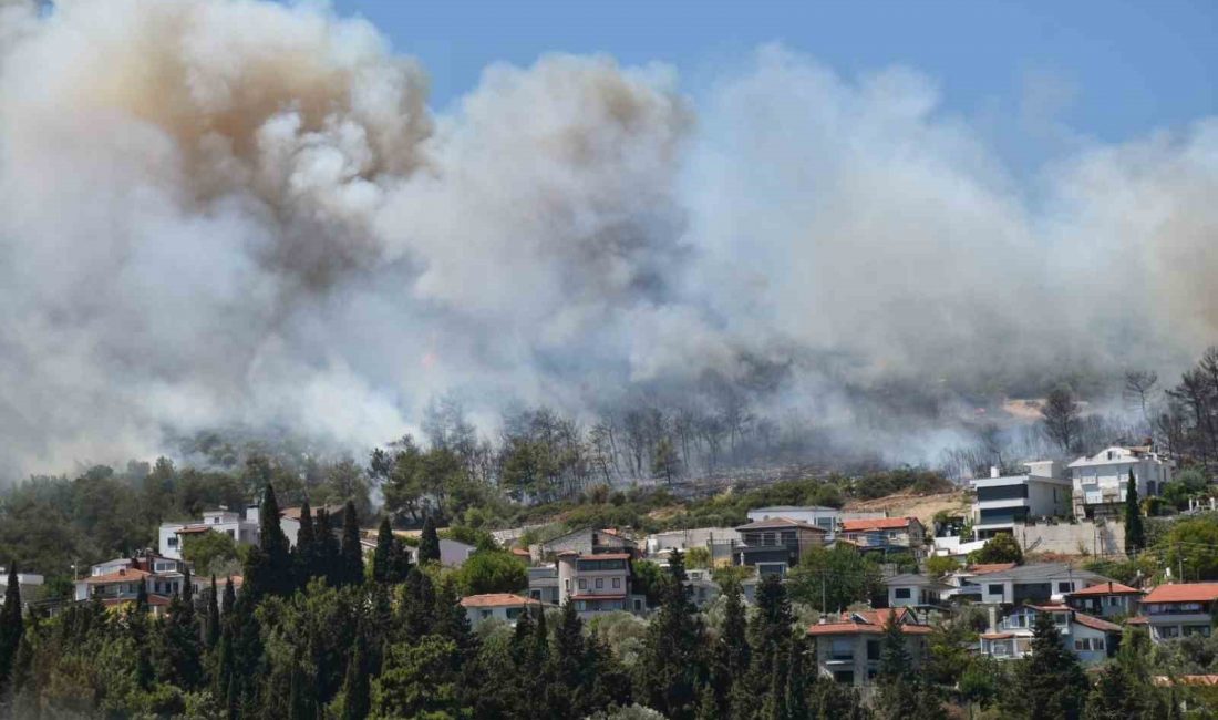 İzmir’in Çeşme ve Urla