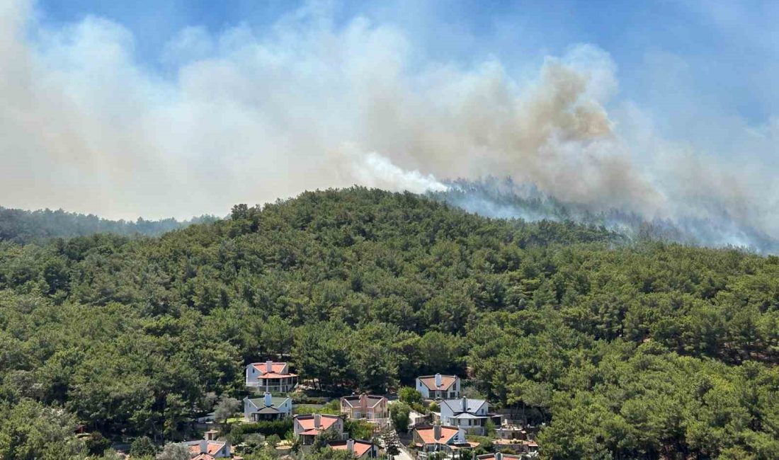 İzmir’in Urla ilçesinde çıkan