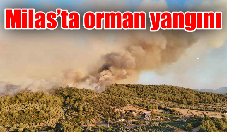 Milas’ta orman yangını