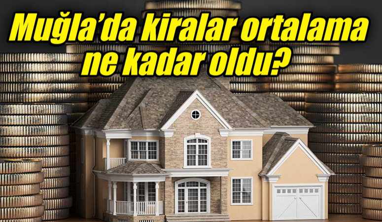 Manisa’da, yavru kedileri fırça