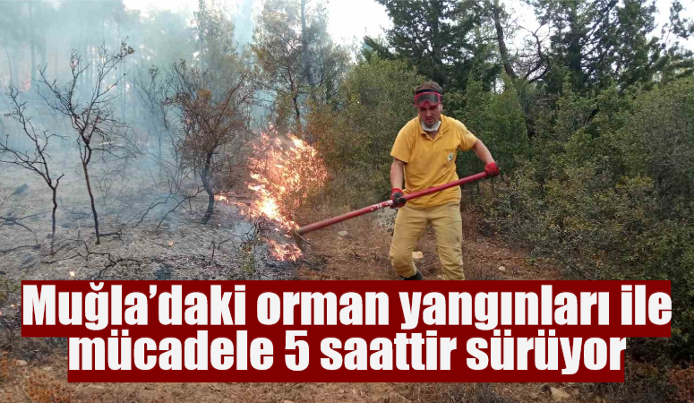 Muğla’daki orman yangınları ile mücadele 5 saattir sürüyor