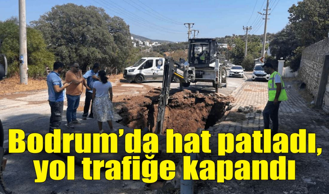 Muğla’nın Bodrum ilçesinde ana