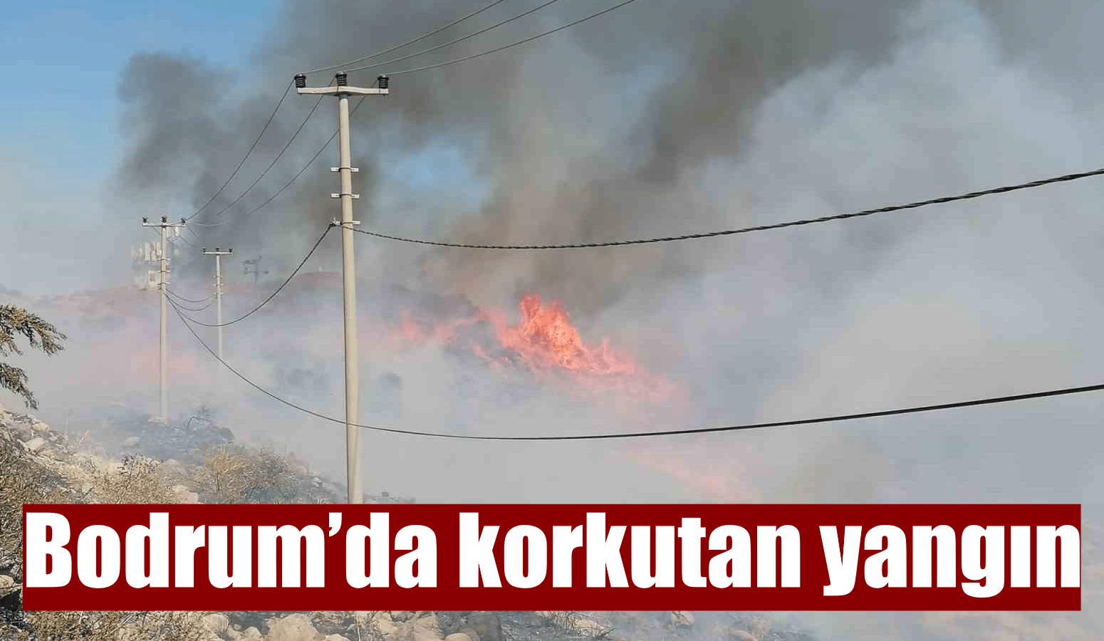 Bodrum’da korkutan yangın