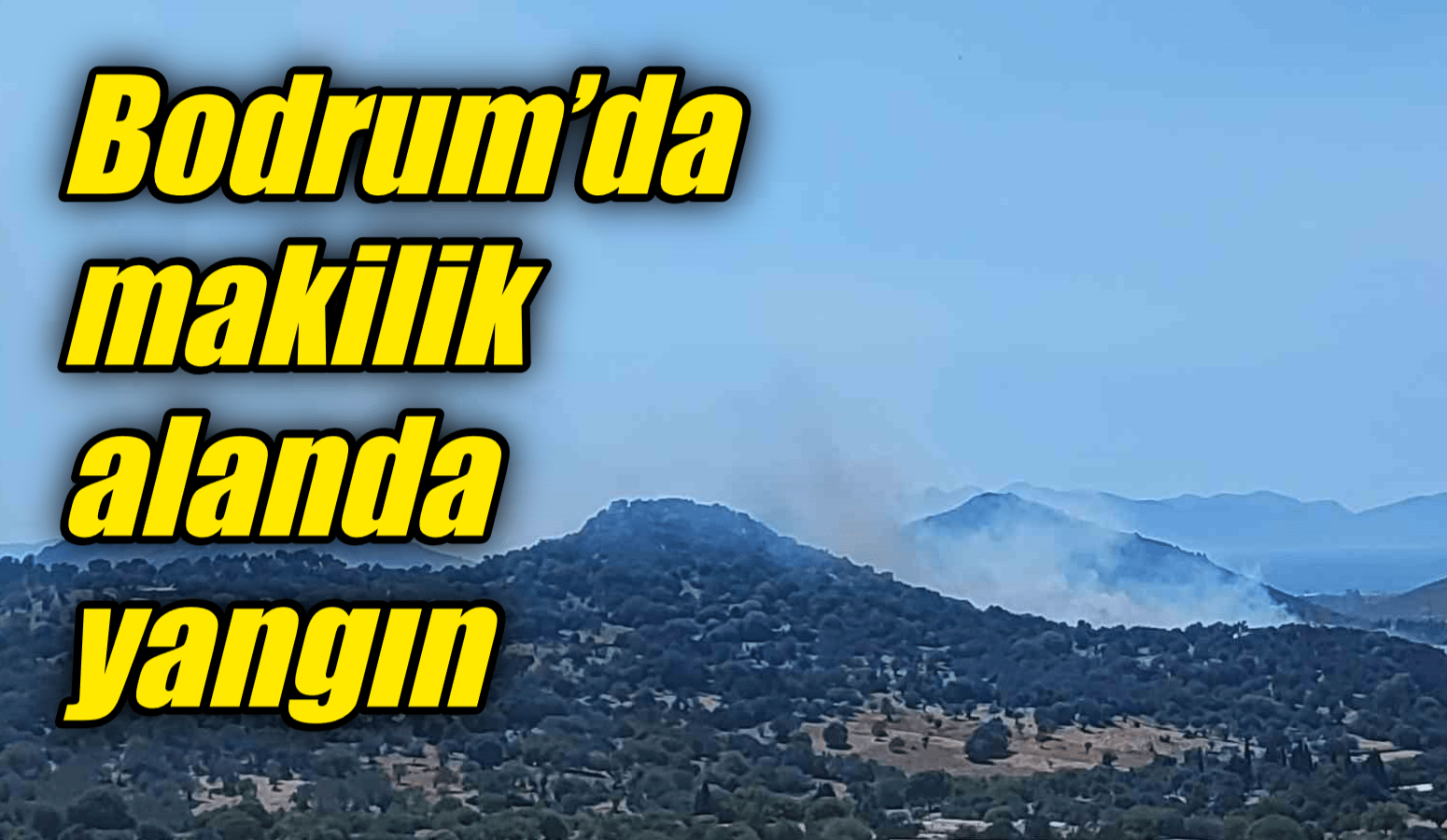 Bodrum’da makilik alanda yangın