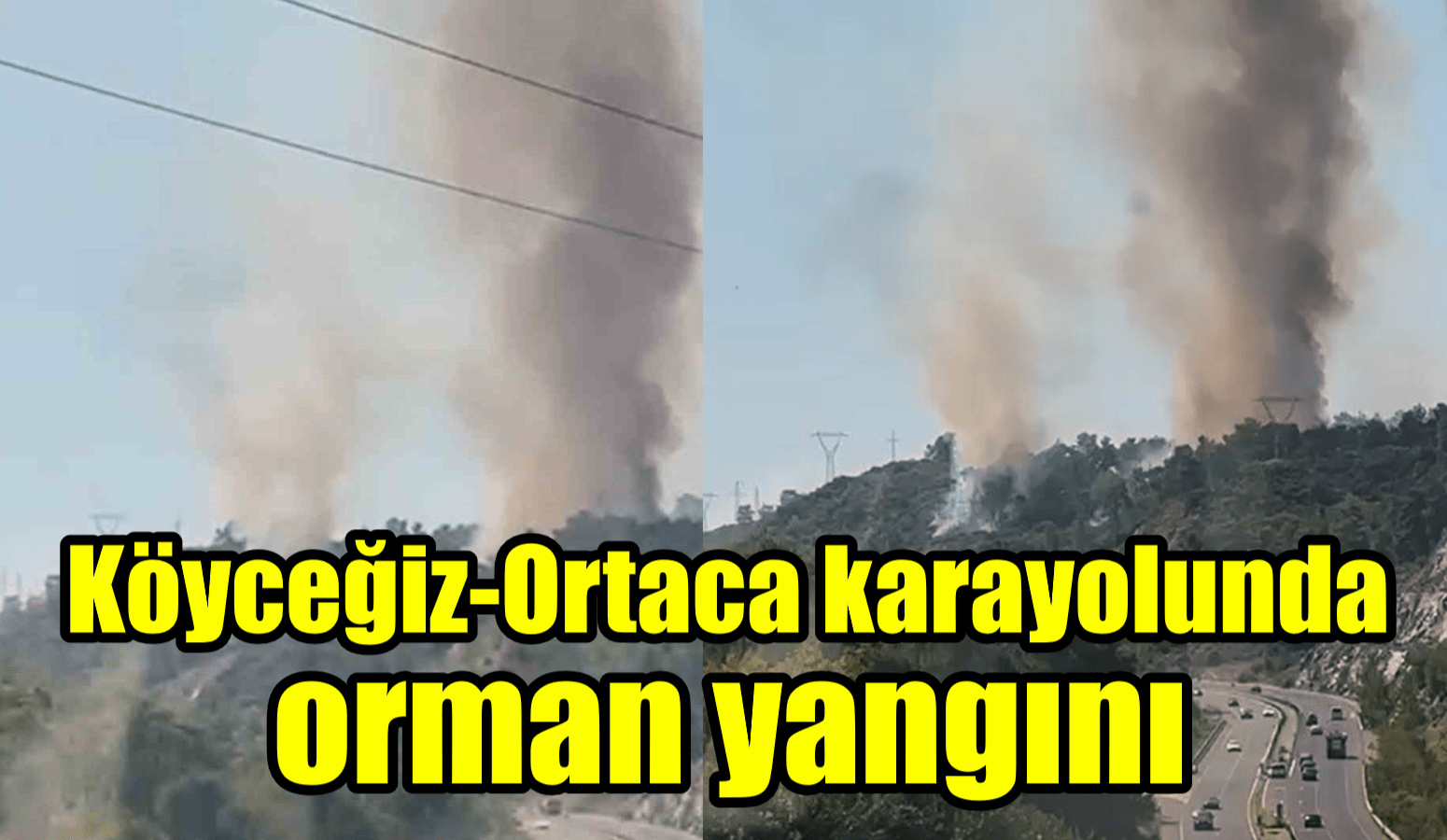 Köyceğiz-Ortaca karayolunda orman yangını