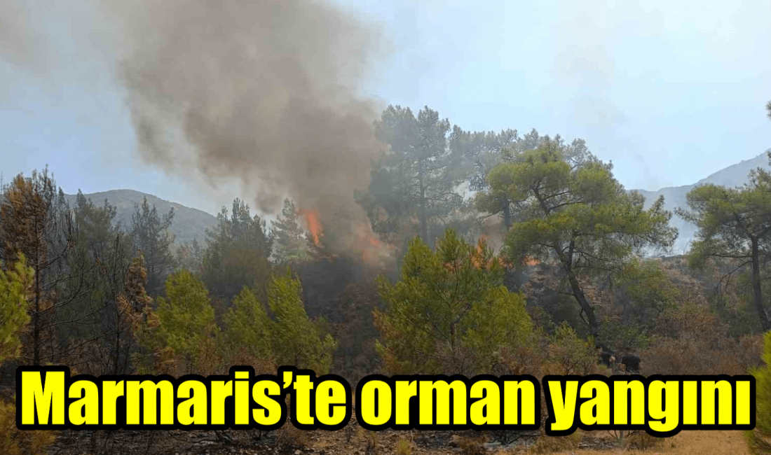 Muğla’nın Marmaris ilçesinde Aksaz