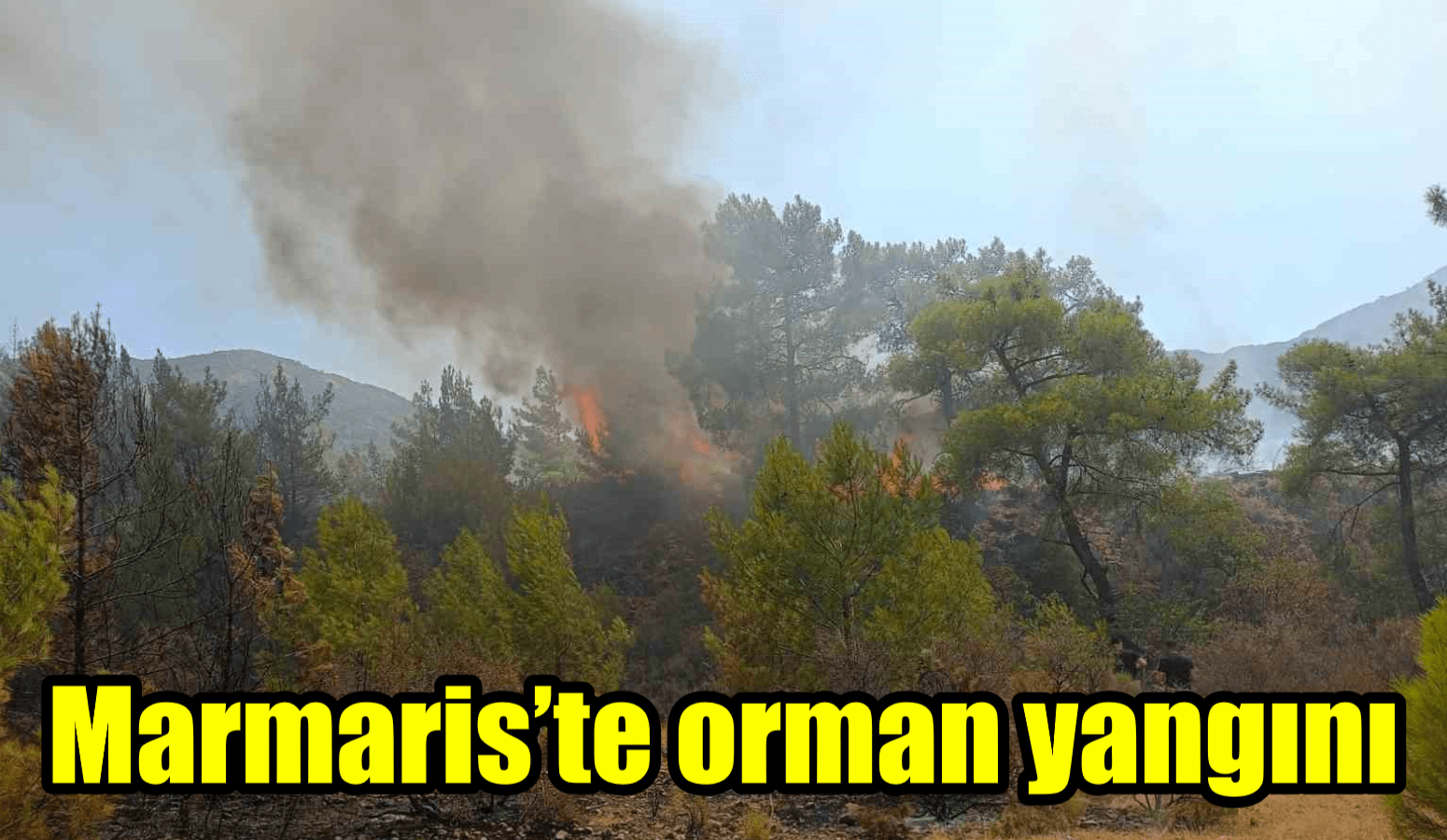 Marmaris’te orman yangını