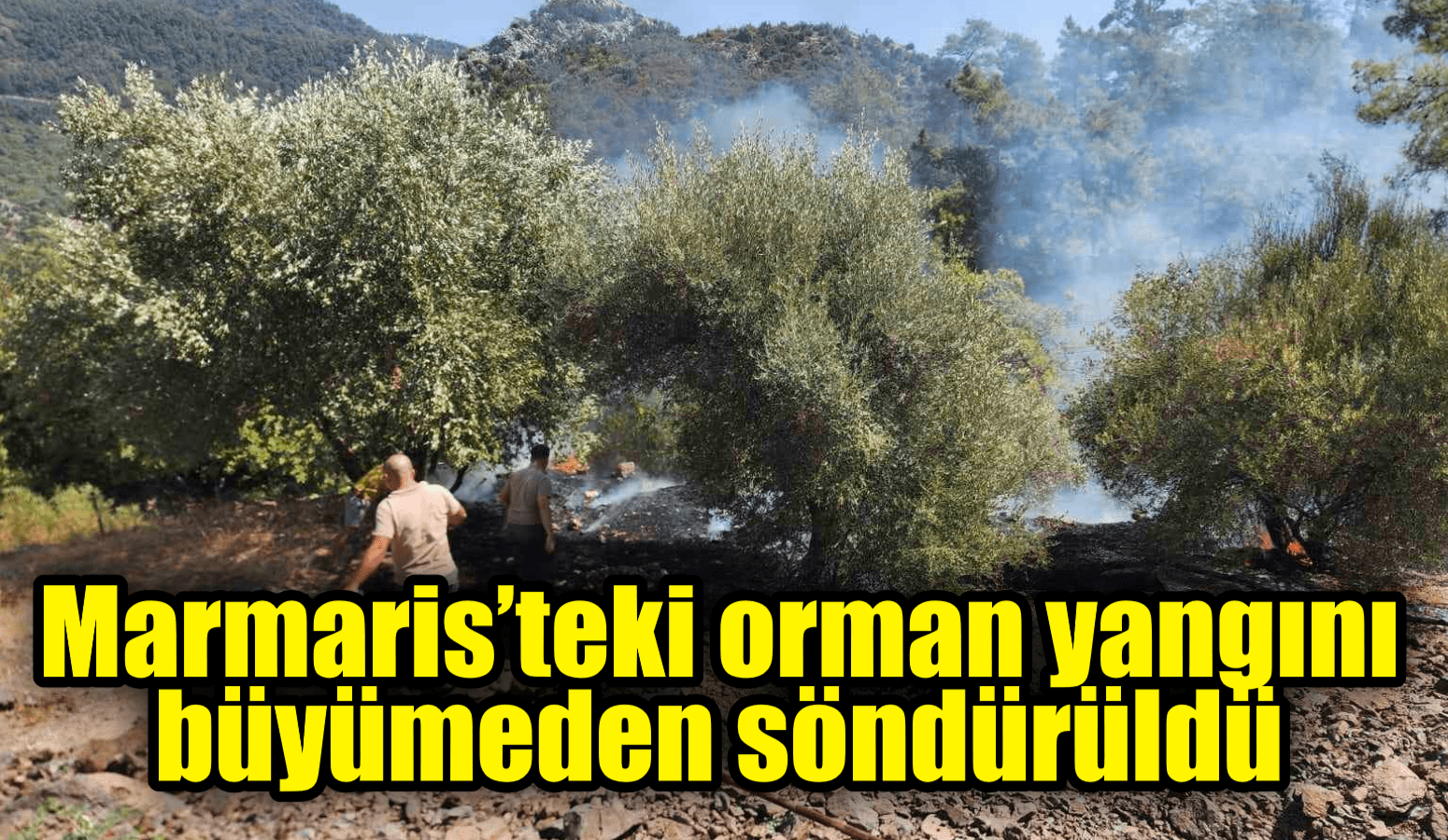 Marmaris’teki orman yangını büyümeden söndürüldü