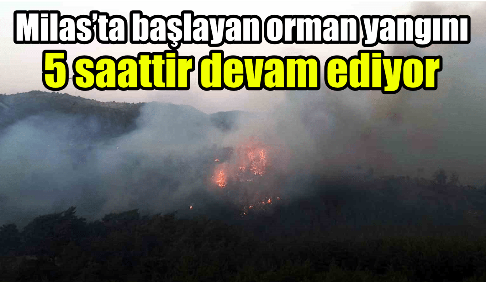 Milas’ta başlayan orman yangını 5 saattir devam ediyor