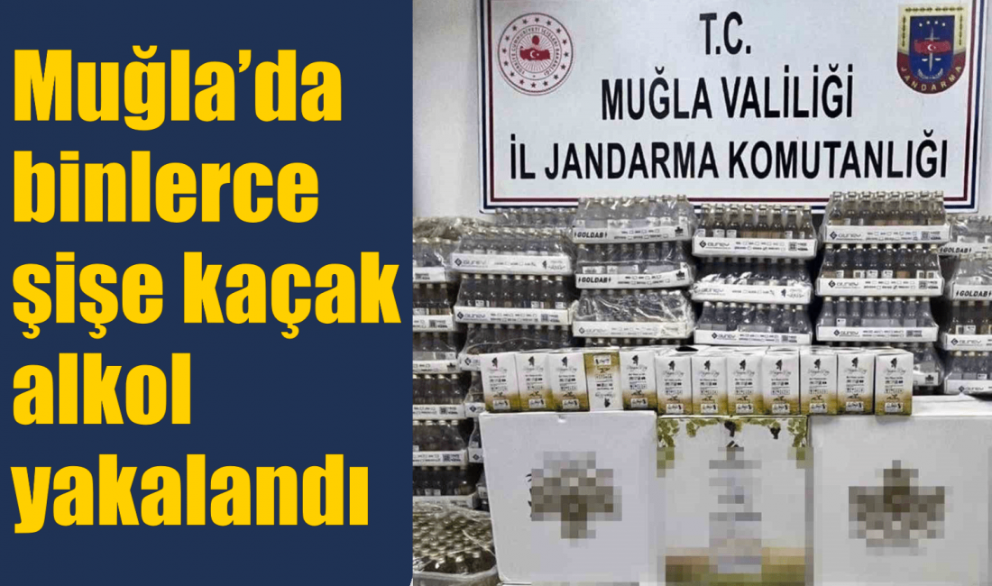 Fethiye’de jandarma ekipleri bir