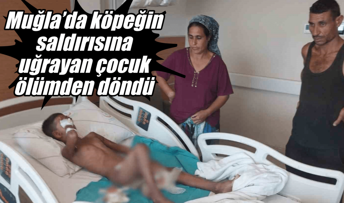 Muğla’nın ortaca ilçesinde bir