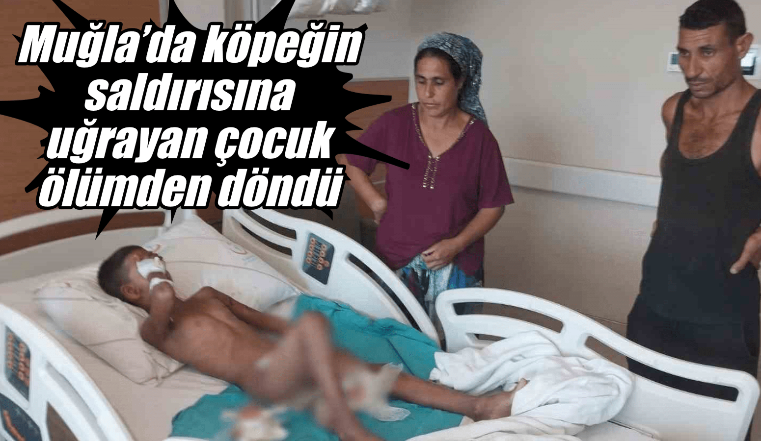 Muğla’da köpeğin saldırısına uğrayan çocuk ölümden döndü