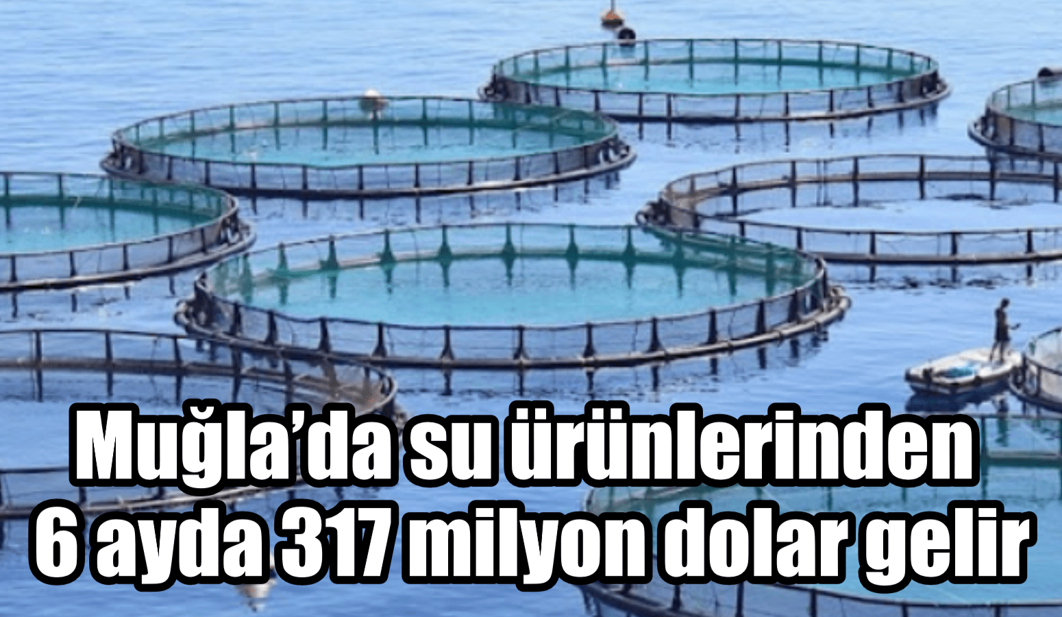 Muğla’da su ürünlerinden 6 ayda 317 milyon dolar gelir