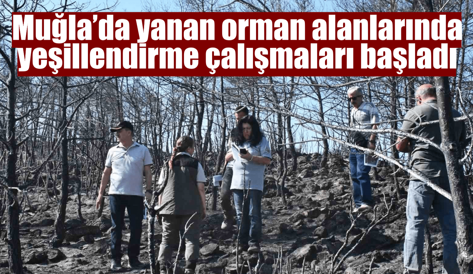 Muğla’da yanan orman alanlarında yeşillendirme çalışmaları başladı