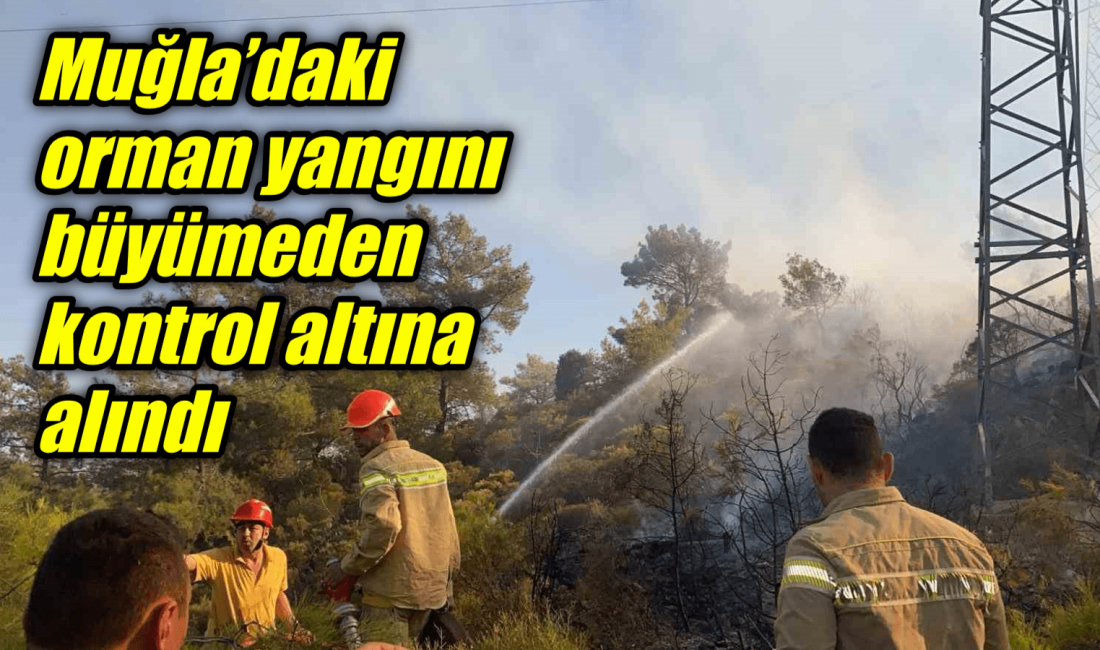 Muğla’da ormanlık alanda çıkan