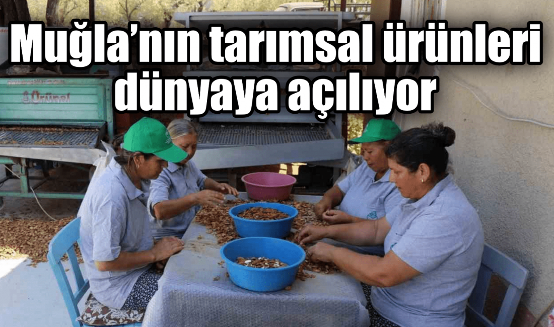 Ticaret Bakanlığı, Tarım ve