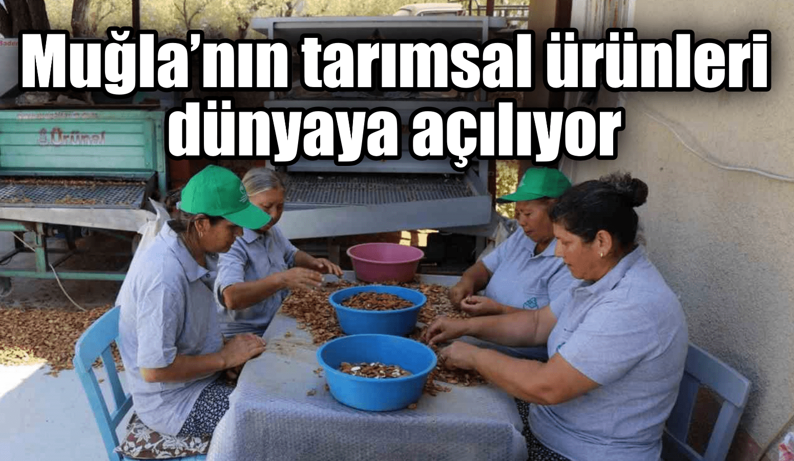 Muğla’nın tarımsal ürünleri dünyaya açılıyor