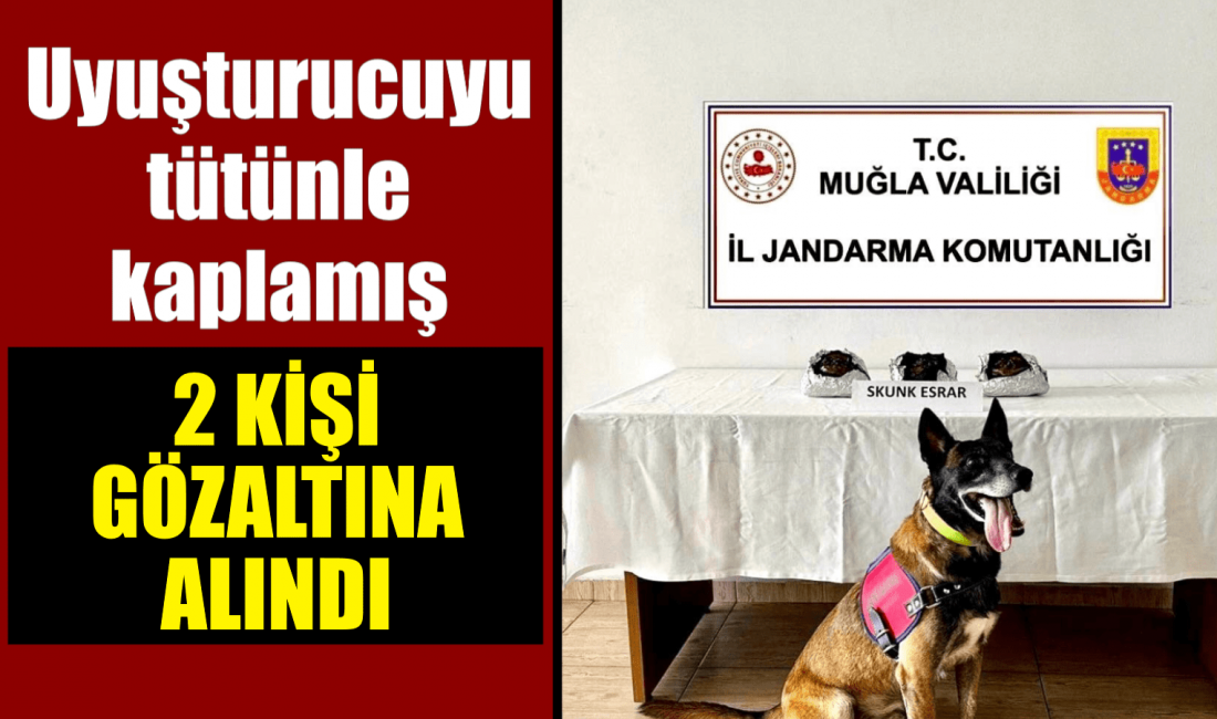 Muğla’nın Bodrum ilçesinde jandarma