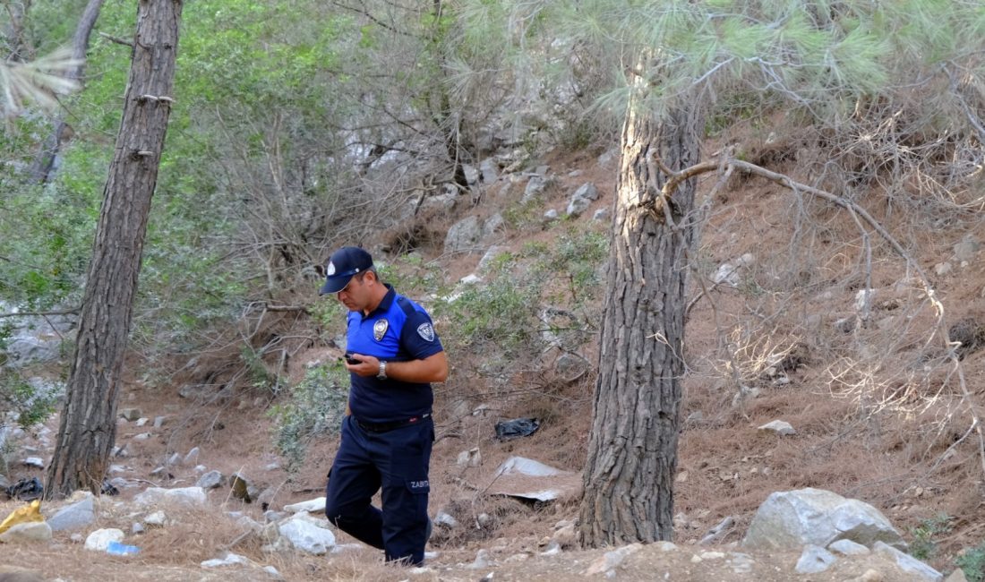 Bodrum Belediyesi ekipleri, yangın