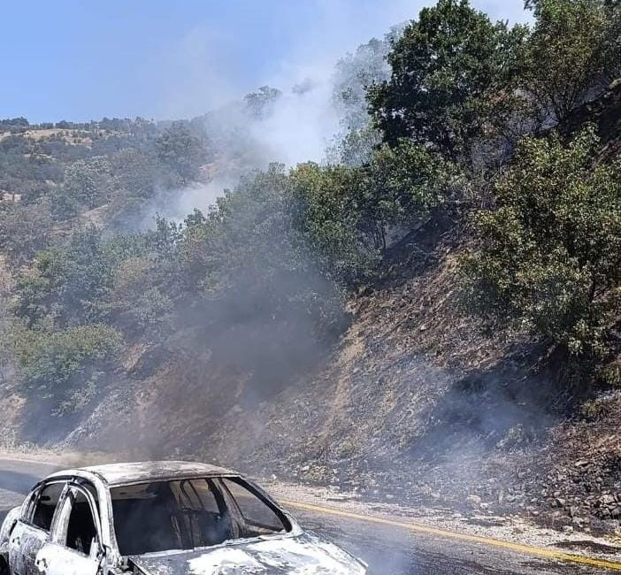 Aydın’ın Buharkent ilçesinde otomobilde