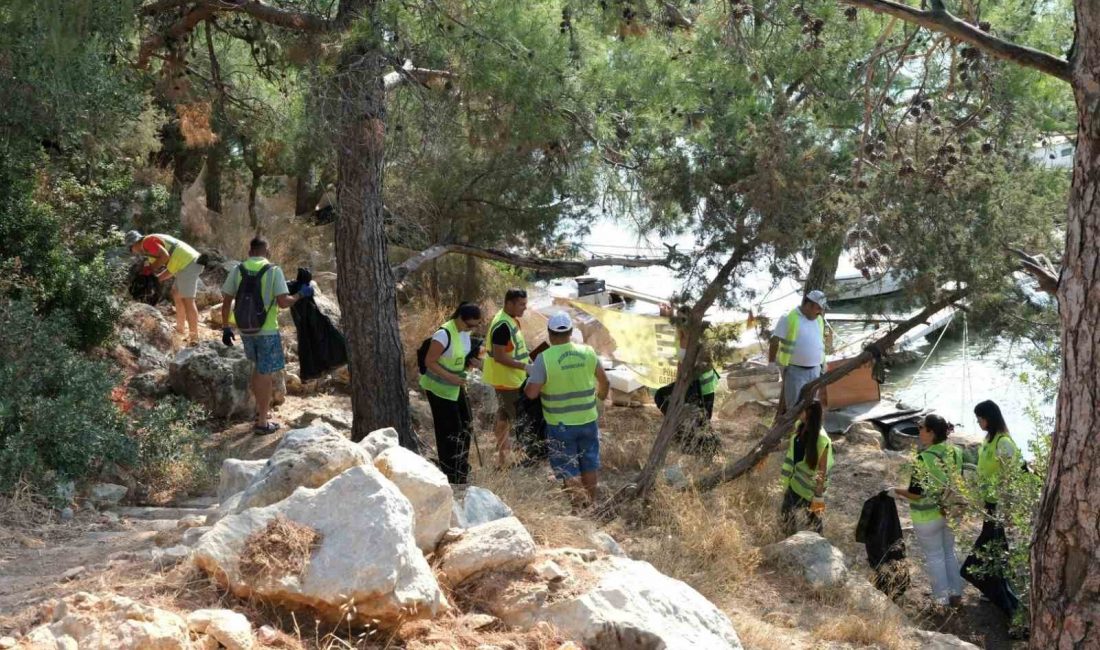 Bodrum Belediyesi ekipleri, temizlik