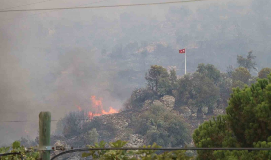 Aydın’ın Germencik ilçesinde başlayarak