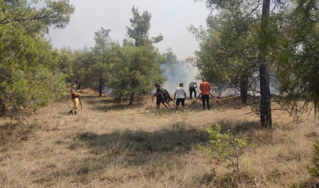 Denizli’de ormanlık alanda çıkan