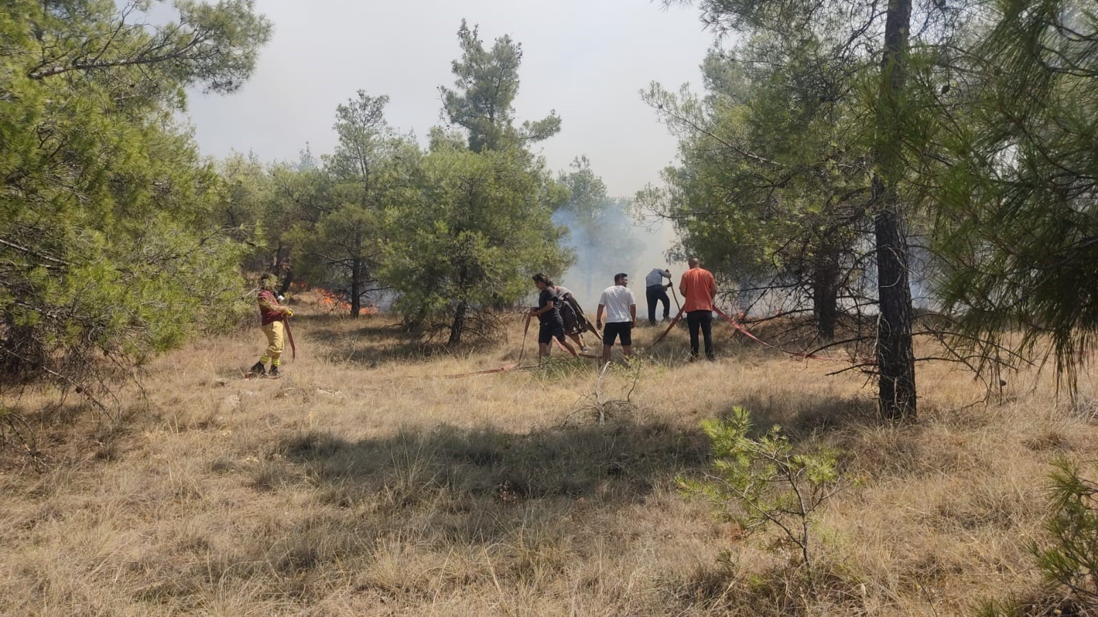 Denizli’de orman yangını