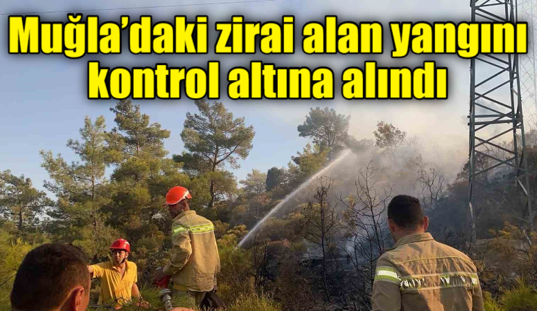 Muğla’daki zirai alan yangını kontrol altına alındı