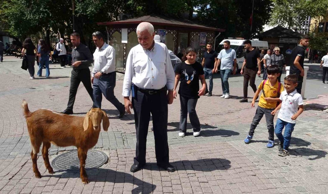 Kütahya’da emekli bir vatandaş,