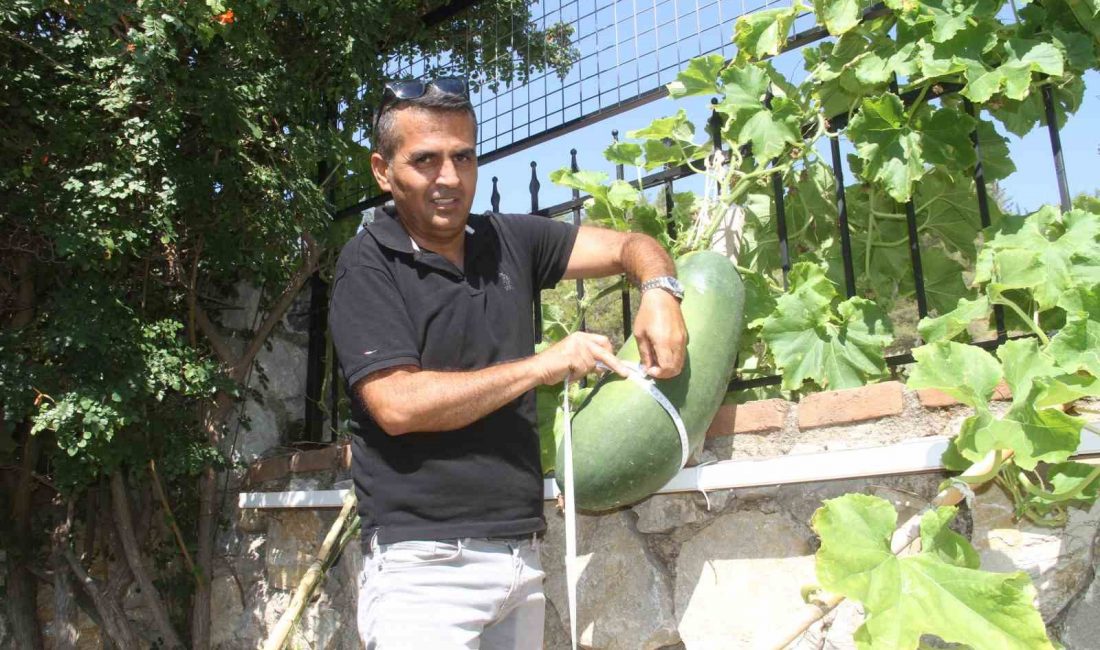 Muğla’nın Fethiye ilçesinde huzurevinde